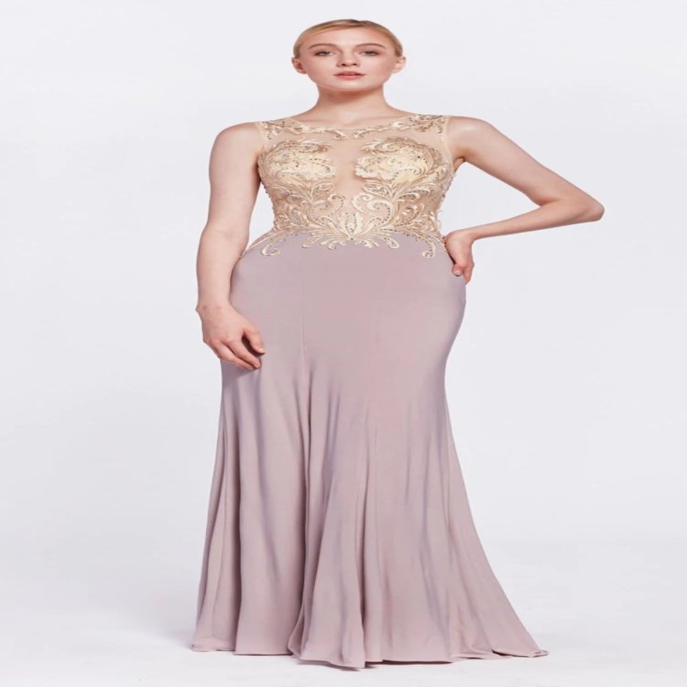Cinderella Divine 43 Embroidered Bodice Sleeveless Long Jersey Gown- Mauve